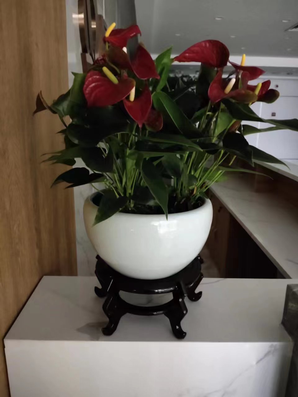 微信图片_20230508114403.jpg