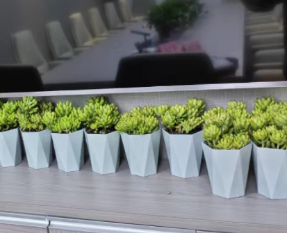 多肉绿植租摆
