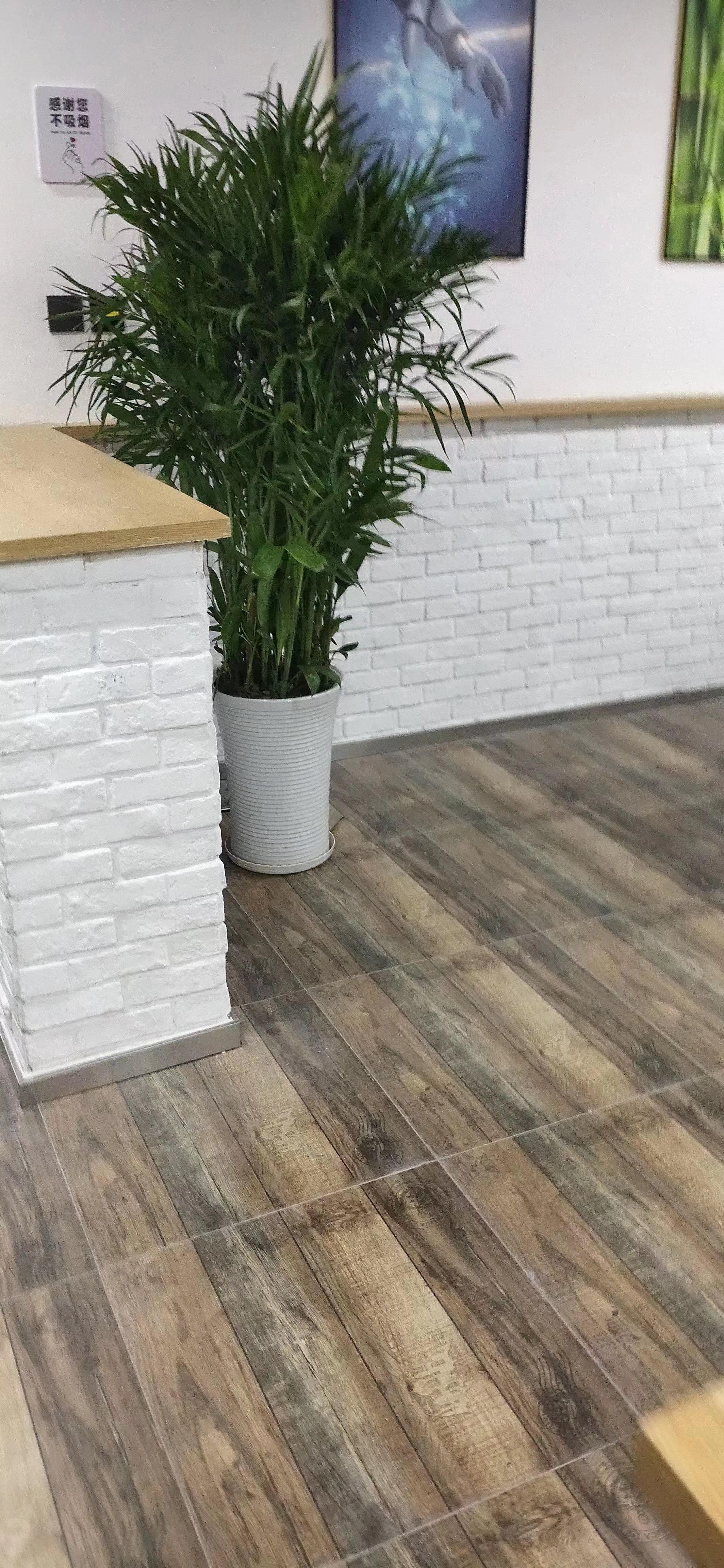微信图片_20230508114018.jpg