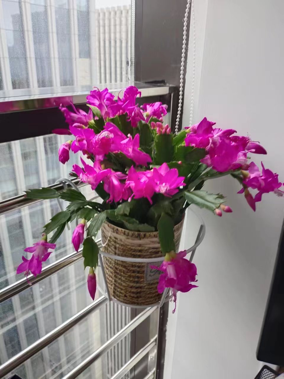 微信图片_202305081144041.jpg
