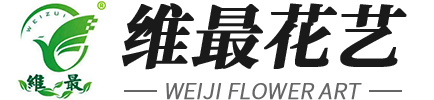 公司简介