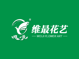 绿植租赁技巧：最全的发财树盆栽养护宝典！